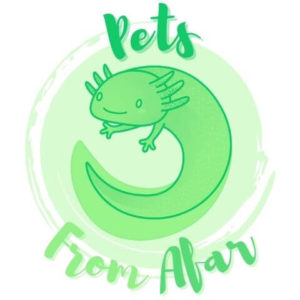 PetsFromAfar.com Website Logo