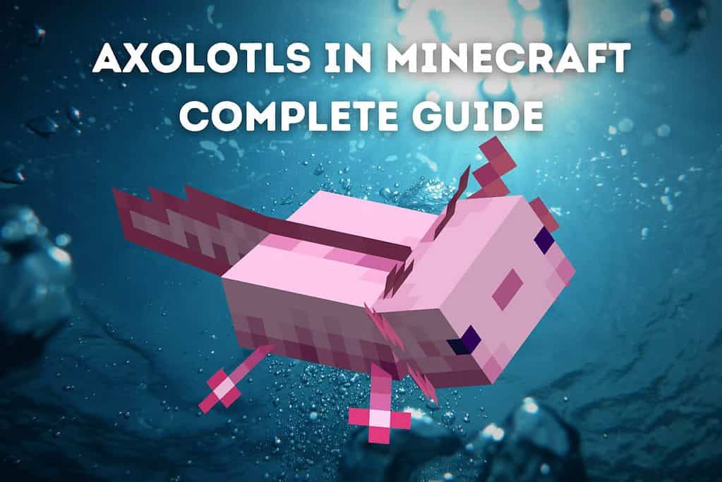 Axolotls-In-Minecraft-Featured-Image